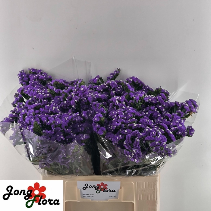 <h4>LIM S CRYST DARK BLU</h4>