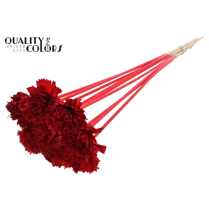 <h4>Shola Karnish Flower 6cm on stem Red</h4>