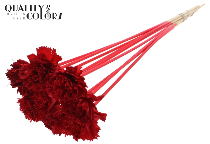 Shola Karnish Flower 6cm on stem Red