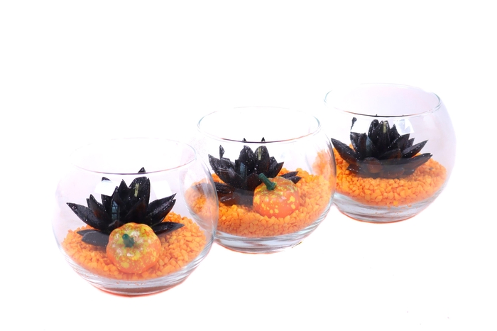 <h4>Opgemaakte boule glas met echeveria, steentjes en pompoen</h4>