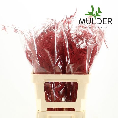 <h4>Snijgroen Rood Extra Veren</h4>