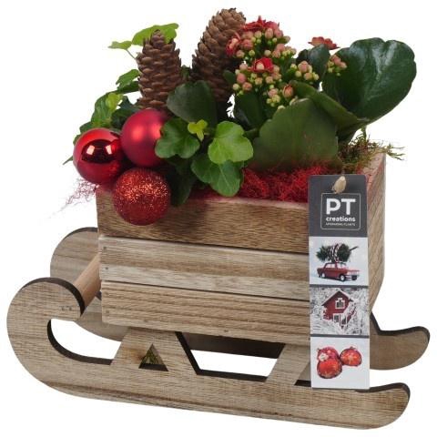 <h4>Opm Pt PTCHR7399 X-mas Red Hout Slee</h4>