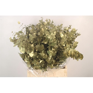 Euca Cin V Metallic Olive 400 Gram