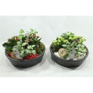 6010 Black Ker Kon Laag