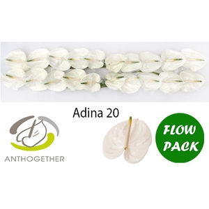 ANTH A ADINA 20 Flow Pack