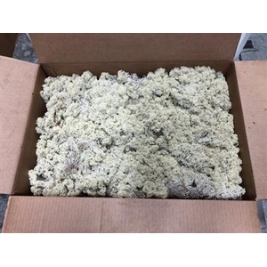 IJSLANDSMOS GEPREP. P.DS BULK