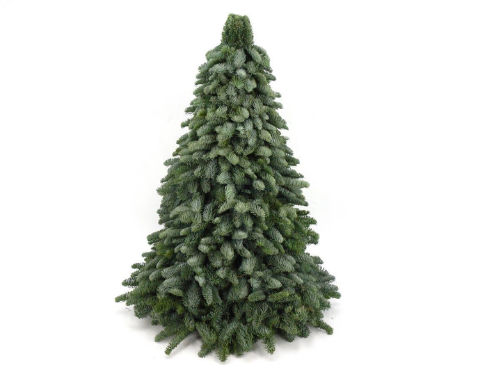 <h4>Deco Kerstboom Nobilis 100cm</h4>