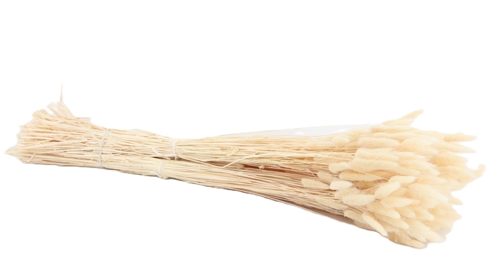 <h4>DROOGBL BEWERKT H%</h4>