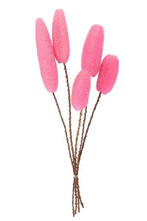 Deco Luffa 5pc Pink Bunch Slv