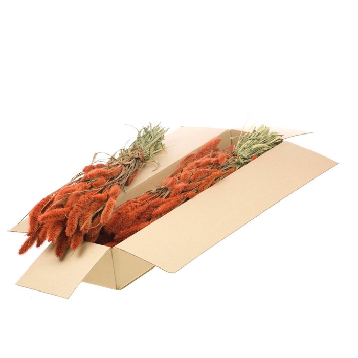 <h4>Setarea Sb Burnt Orange</h4>