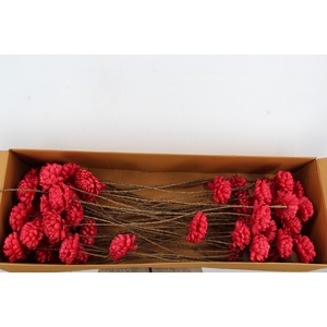 Stick Shola Artichoke Ø12 Red