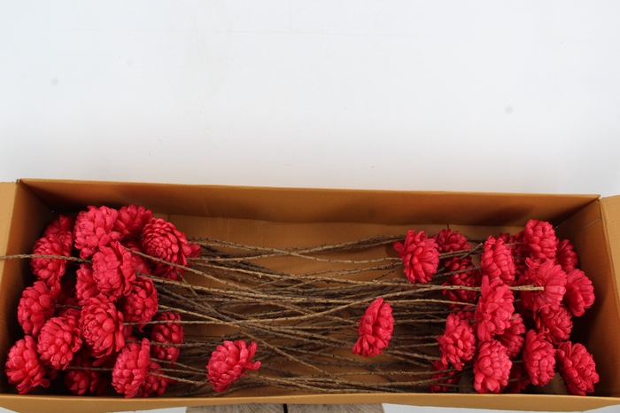 <h4>Stick Shola Artichoke Ø12 Red</h4>