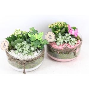arr2 PL - Glas bose touw x3 - roze/wit