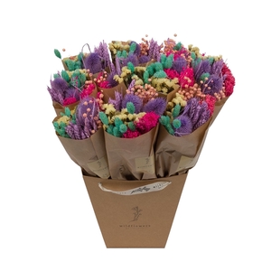 Droogbloemen-Market More 50cm-Rainbow