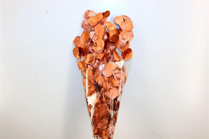 <h4>Pres Euca Populus Metal Bronze Bunch</h4>