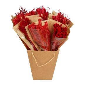 Droogbloemen-Dried Mono Mix 50cm-Red