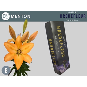 LI LA MENTON QUALITY BOX