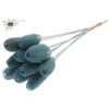 Luffa Mini on stem Light Blue