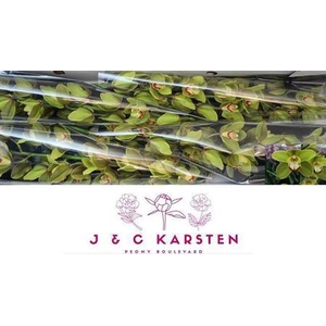 Cymb T Centerfold 100 Cm