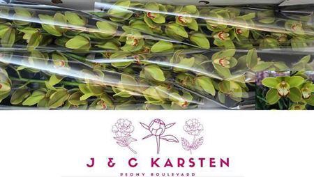 <h4>Cymb T Centerfold 100 Cm</h4>