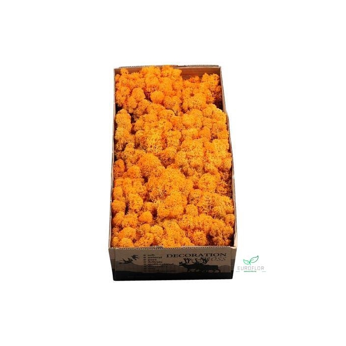 <h4>IJSLANDS MOS ORANGE</h4>