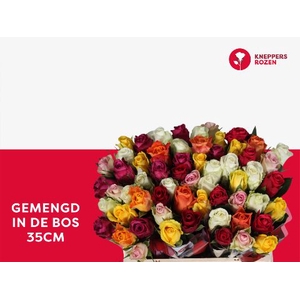 R Gr Mix In Bunch A2 Kneppers