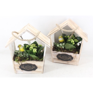 arr2 TD - Hout huis puntdak