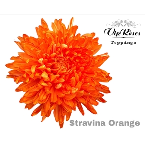 CHR G STRAVINA ORANGE