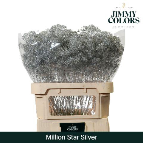 <h4>Gyps Million Star L80 Metallic silver</h4>