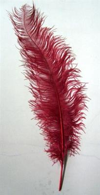 <h4>DROOG STRUISVOGELVEREN ROOD</h4>