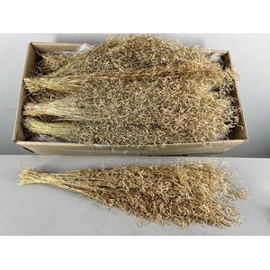 Df Munni Grass 100gr Natural