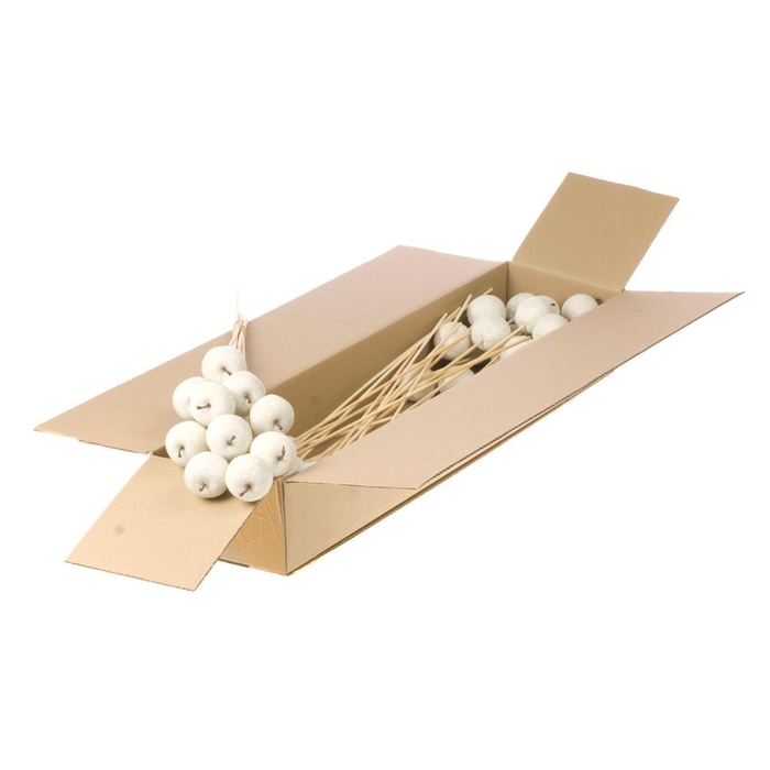 <h4>Apple Sug 5cm O/s Sb Whit</h4>