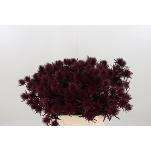 Eryn Magnetar Kl Bh Bordeaux