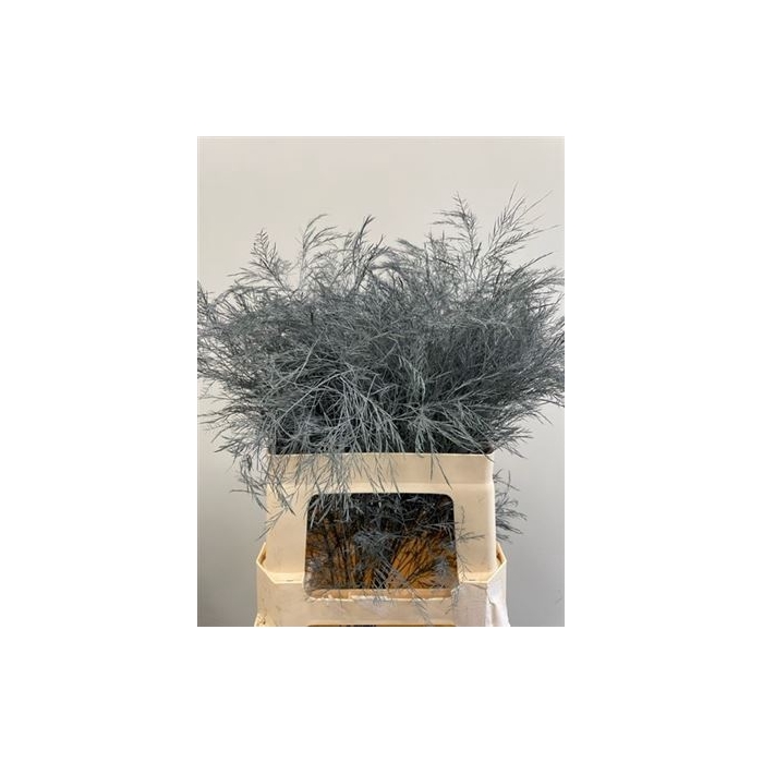 <h4>Treefern Grey</h4>