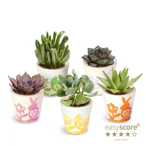 Easter Creations 6cm