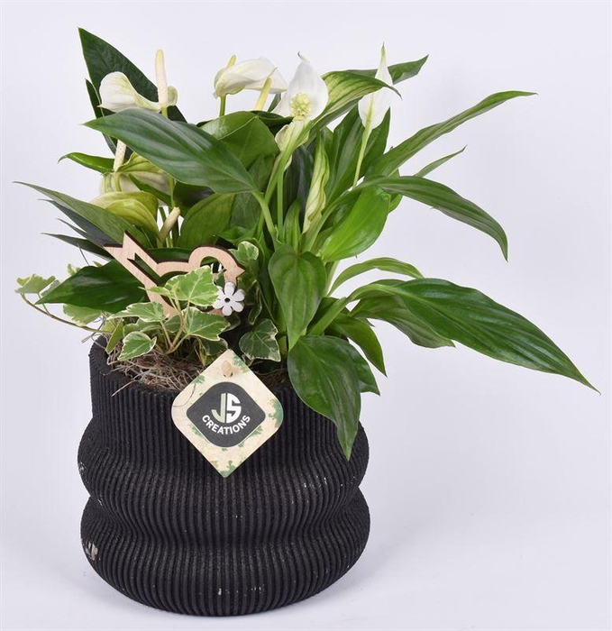 <h4>Cement ribbel pot 16 cm</h4>