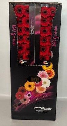 <h4>GE MI RED RUBY Aquabox - diamond (8 x 15)</h4>