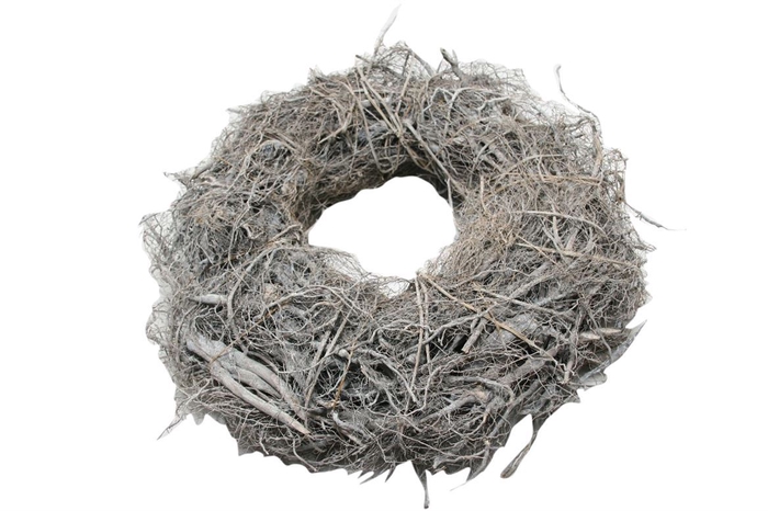 <h4>Wr Root Rough 40cm Frosted</h4>