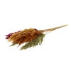 Palm Grass Autumn Mix