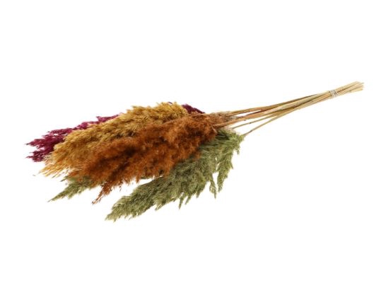 Palm Grass Autumn Mix