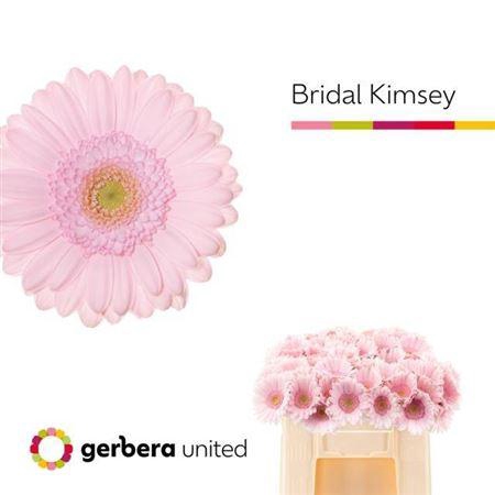 <h4>Ge Mi Bridal Kimsey</h4>