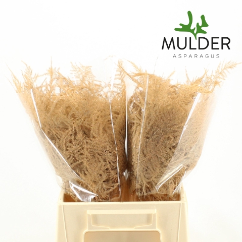 <h4>Asp Klb H% 1e Veren Salmon</h4>