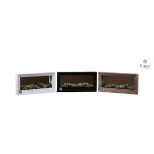 Houten schilderij met spiegel hout met Succulenten