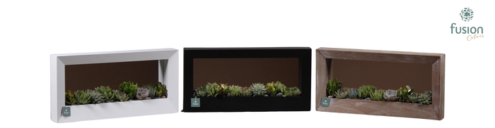 <h4>Houten schilderij met spiegel hout met Succulenten</h4>