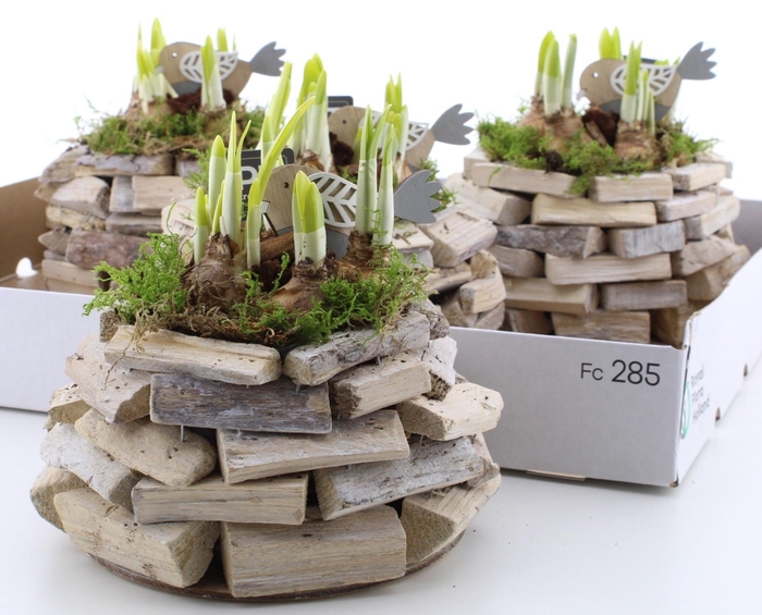 <h4>ARR N TETE A TETE</h4>