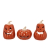 Jolie Scottish Orange Pumpkin T-light 13x13x19cm