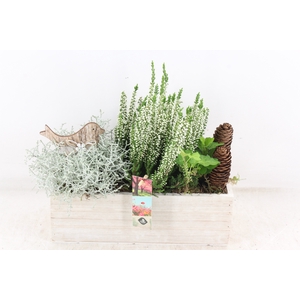 arr4 Outdoot JS - Hout rechth. white x5
