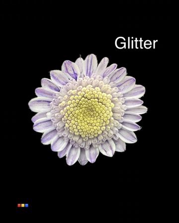 Chr T Stallion Dusty Pastel Milka + Glit Bio