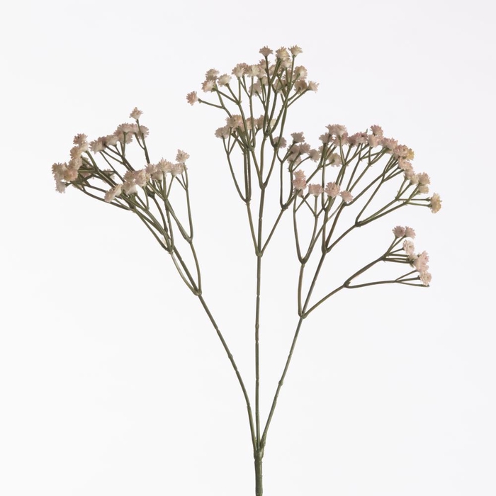 <h4>AF Gypsophila L69cm Pink</h4>