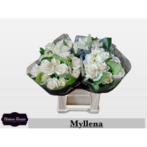 R GR MYLLENA@